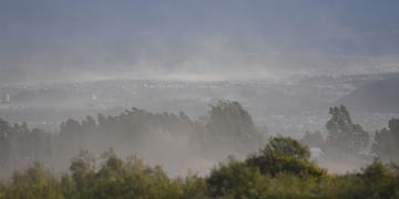 Fuertes ráfagas de viento zonda en la provincia de Mendoza, donde dejó algunos árboles caidos.
Foto: José Gutierrez/ Los Andes