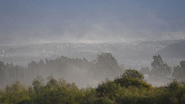 Fuertes ráfagas de viento zonda en la provincia de Mendoza, donde dejó algunos árboles caidos.
Foto: José Gutierrez/ Los Andes