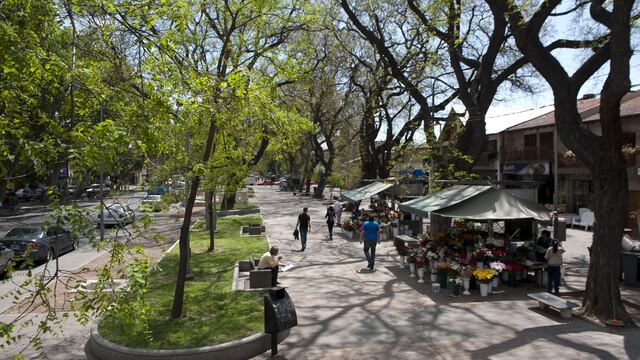 La Municipalidad de Mendoza iniciará tareas de reparación de veredas, iluminación y continuidad del trazado de la ciclovía. Imagen ilustrativa. Gentileza MCM