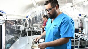 Castraciones en las vecinales