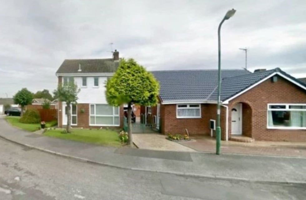 Inglaterra: cortaron el árbol del vecino a la mitad porque les molestaban las hojas