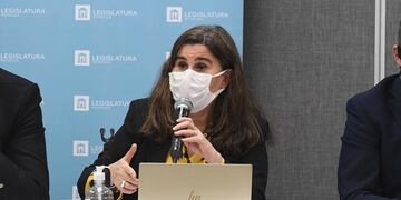 La ministra de Salud de Mendoza, Ana María Nadal, se refirió a la variante Ómicron. Imagen Ilustrativa