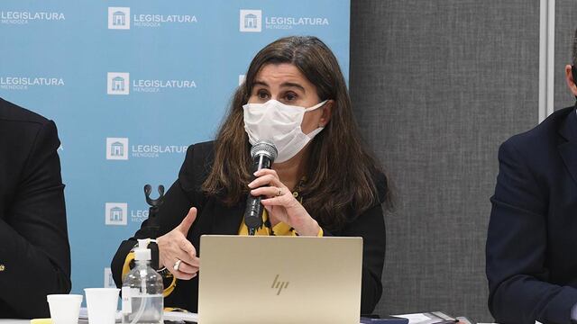 Ana Maria Nadal, Ministra de Salud de Mendoza, anunció el lanzamiento de los test de Virus del Papilona Humano, para detectar temprano el cáncer de cuello uterino. Archivo Los Andes