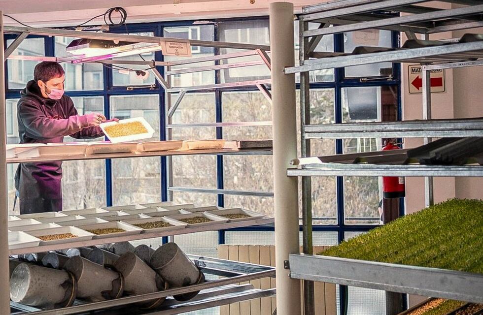 “Producción orgánica en Tierra del Fuego” fue seleccionado en un concurso federal