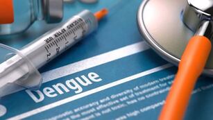 Alarma ante los casos de dengue. (Imagen ilustrativa)