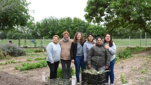 La huerta SISU sigue avanzando en Rafaela
