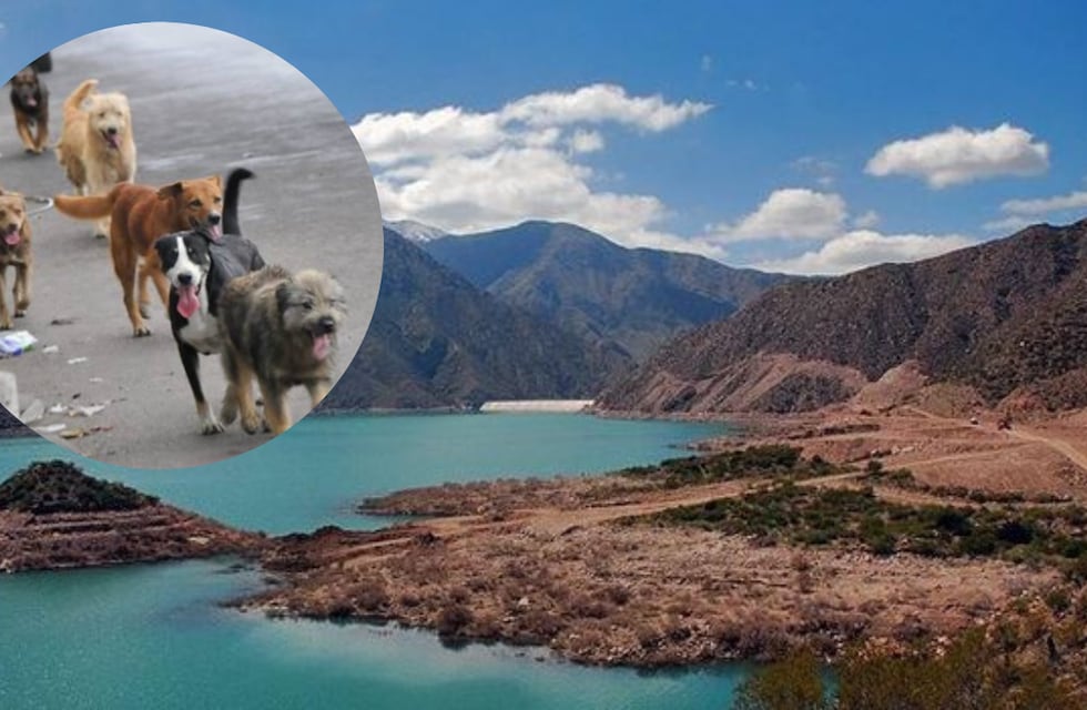 Una mendocina realizó un solidario pedido en las redes sociales para los visitantes de Potrerillos