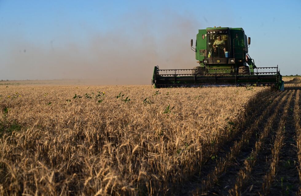 Se realizará en Tres Arroyos el 1° Simposio de la Cadena de Trigo, un encuentro clave para el sector agropecuario