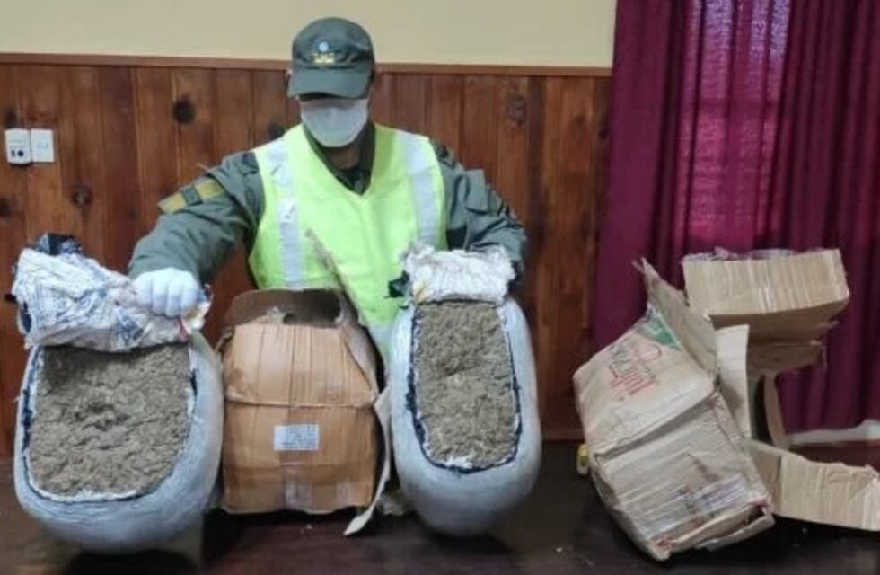 Encuentran marihuana en una encomienda en Concepción de la Sierra