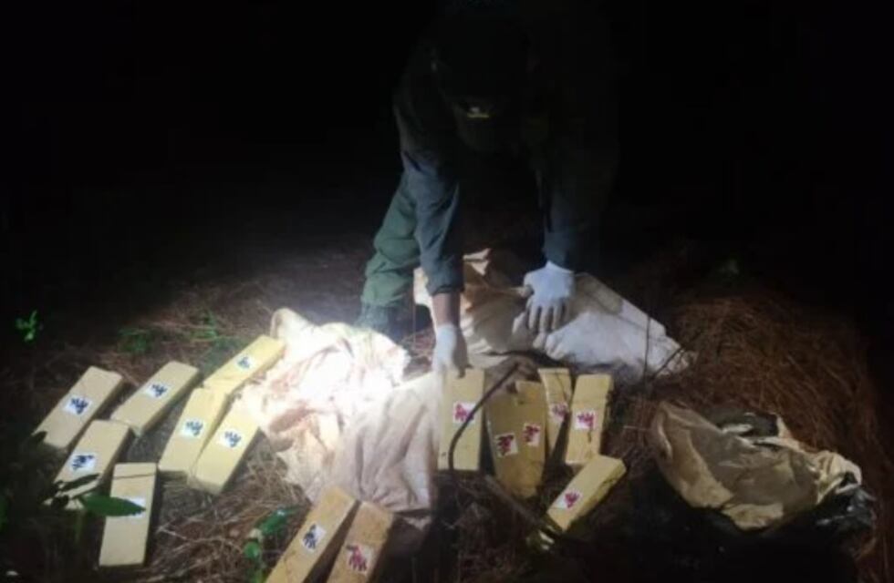 San Pedro: hallan enterrado un contrabando de marihuana