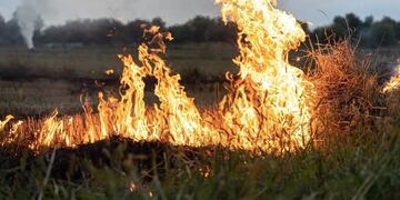 Luego de seis meses de la presentación de la denuncia sobre incendios en el delta ante la justicia de Entre Ríos, siguen sin tener respuesta.