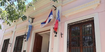 Posadas prohíbe los criaderos y la venta de perros y gatos: aprobaron una ordenanza histórica.