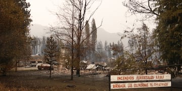 Las llamas arrasaron con todo en la Comarca Andina (@Medusa_ll).