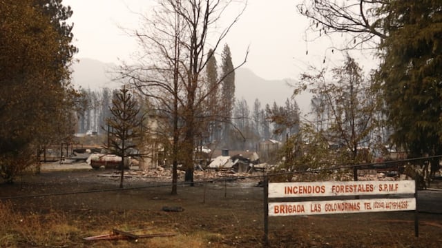 Las llamas arrasaron con todo en la Comarca Andina (@Medusa_ll).