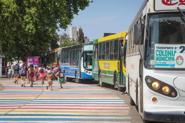 Micros de Colonia de Vacaciones