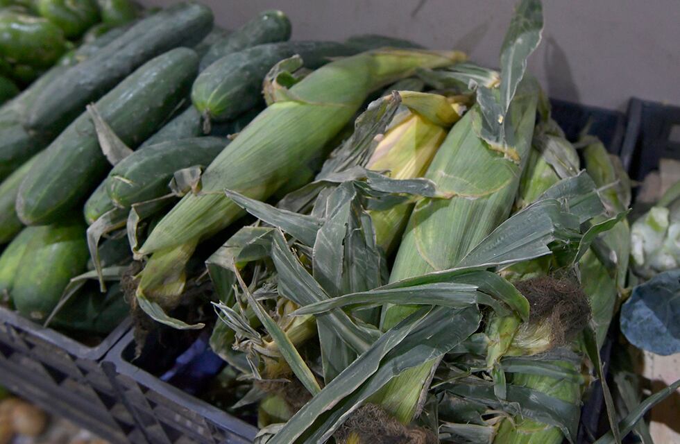 La feria de alimentos Mercados Bonaerenses estará en el Distrito de Adolfo Gonzales Chaves