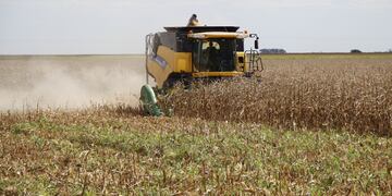 La Sociedad Rural pidió ante la Justicia que se le impida al Gobierno cobrar las retenciones