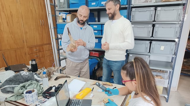 Visita científica extranjera al Museo Carlos Darwin
