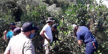 Capacitación a productores en Wanda