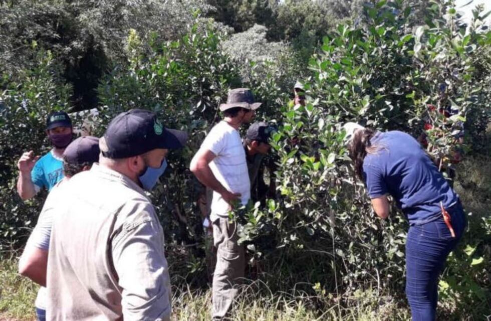 Capacitación a productores en Wanda