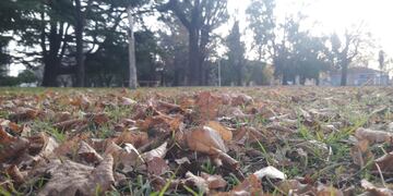 Así estará el tiempo durante toda la jornada.