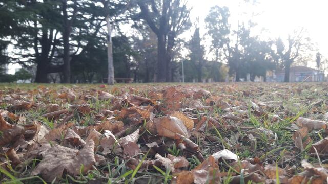 Así estará el tiempo durante toda la jornada.