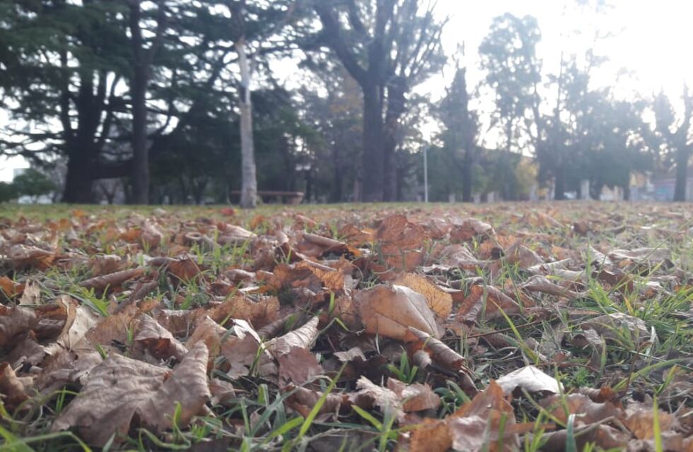 Clima en Tandil: así estará el tiempo en la ciudad este 11 de agosto