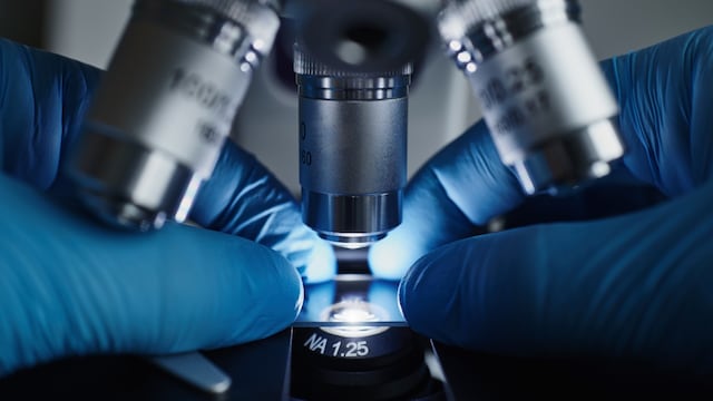 Sigue la semana de la Ciencia, la Técnica y Innovación