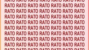Acertijo visual para expertos: ¿podrás hallar la palabra “pato” en menos de 6 segundos? muy pocos lo logran.