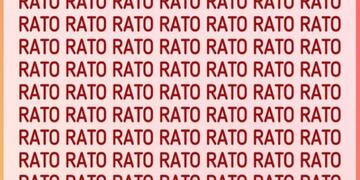 Acertijo visual para expertos: ¿podrás hallar la palabra “pato” en menos de 6 segundos? muy pocos lo logran.