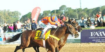Este fin de semana en Tandil habrá actividad en el Hipódromo