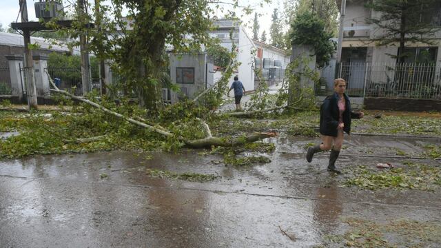 Dos derrumbes de techos, 12 casas inundadas y árboles y postes caídos: lo que dejó la tormenta - Imagen ilustrativa (Ignacio Blanco - Los Andes).
