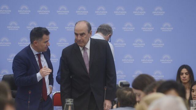 Guillermo Francos, ministro del Interior, en el debate de la "ley ómnibus" (Foto: Clarín)