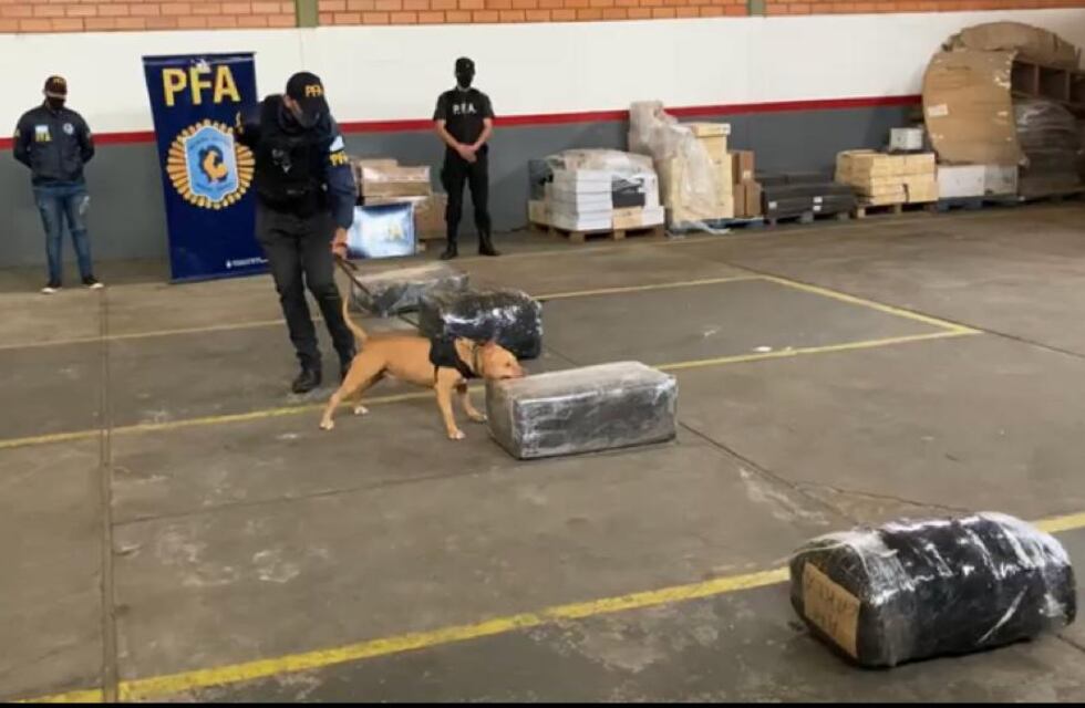 Prefectura desbarató una banda narco que enviaba estupefacientes por encomiendas