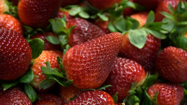 Quisieron decomisarle las frutillas y la gente de San Luis se las compró todas.