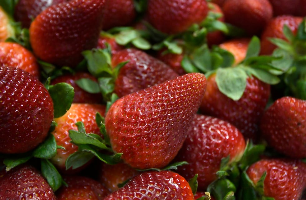 Quisieron decomisarle sus frutillas y la gente lo ayudó: le compraron todo