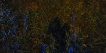 La garrafa recuperada