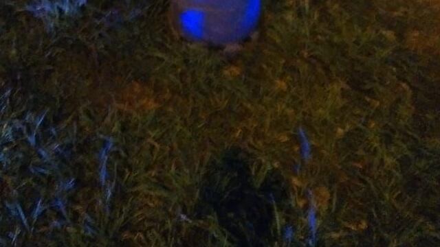 La garrafa recuperada