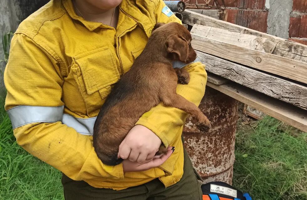 Bomberos de Arroyito rescataron a un perrito de un pozo de 8 metros de profundidad
