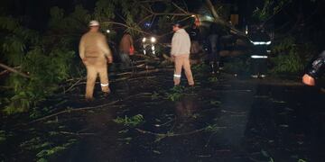 Más de 20 viviendas afectadas en Montecarlo por la tormenta
