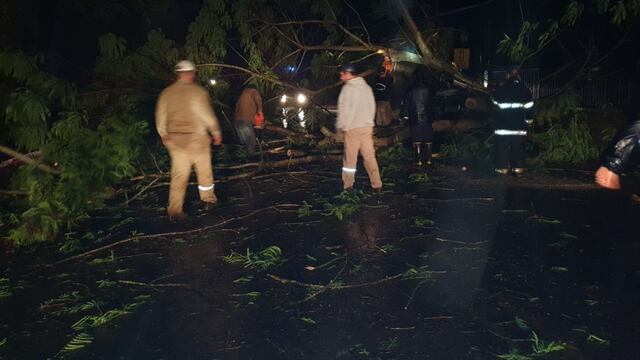 Más de 20 viviendas afectadas en Montecarlo por la tormenta