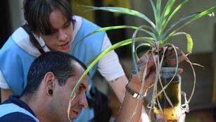 Se duplicaron los casos de dengue en Córdoba.