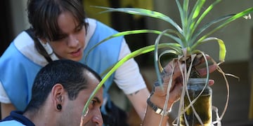Se duplicaron los casos de dengue en Córdoba.