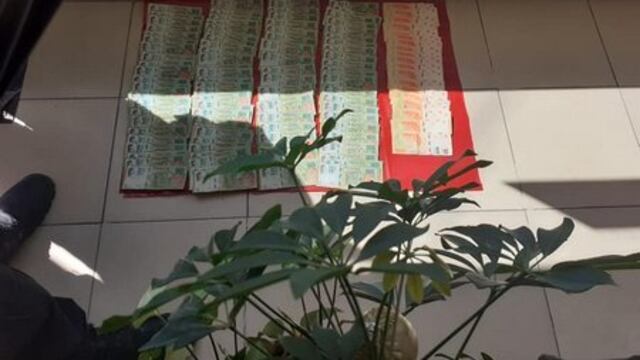 Pudieron encontrar al dueño para devolverlo