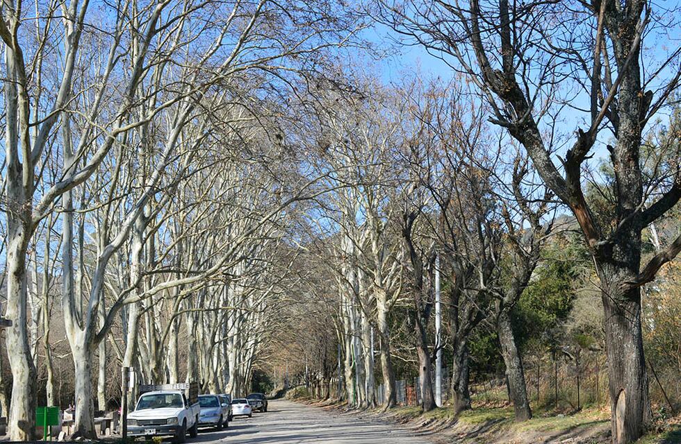 Descubre la belleza natural de Las Jarillas en San Antonio de Arredondo
