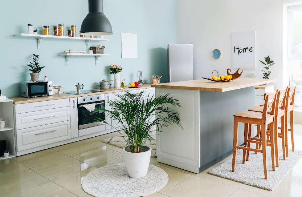 Decoraciones modernas y bonitas: los mejores consejos para remodelar tu cocina sin gastar en exceso