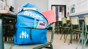 Cómo recibir la Ayuda Financiera de ANSES y a quién va dirigido.