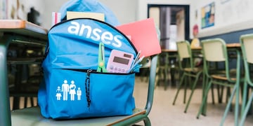 Cómo recibir la Ayuda Financiera de ANSES y a quién va dirigido.