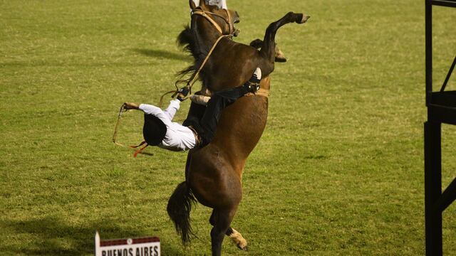 Doma y música para todos los gustos en el Festival del Caldén que comienza este viernes.