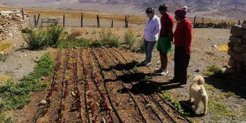 La Fundación Alfarcito instala riego por goteo a productores de la Puna